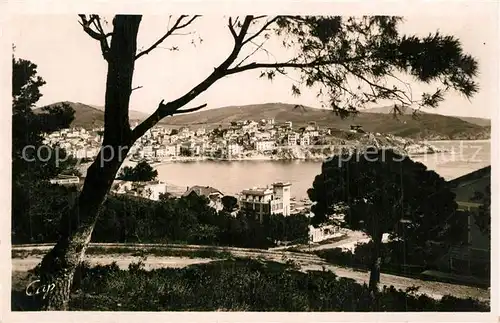 Banyuls sur Mer Vue a travers les pins Cote Golf du Lion Cote d Azur Banyuls sur Mer