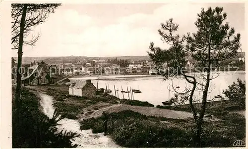 Morgat Le Port vu entre les pins du Kador Morgat