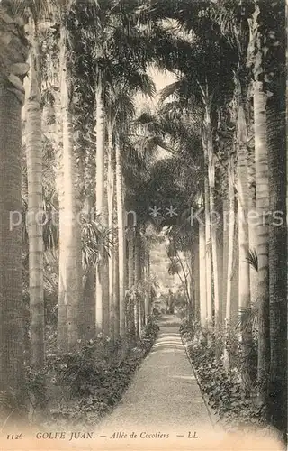 Golfe Juan All?e de Cocotiers Golfe Juan