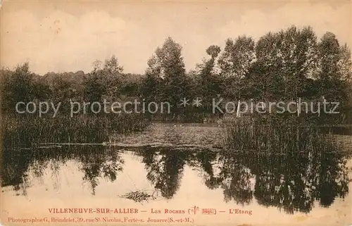 Villeneuve sur Allier Les Roches Etang Villeneuve sur Allier