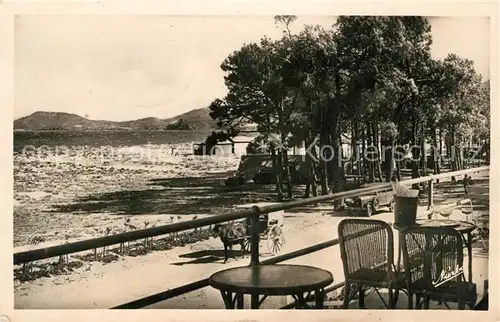 Argeles sur Mer La Plage et les Pins vus de la terrasse de l Hotel Argeles sur Mer