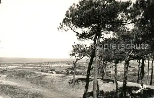 Sion_sur_Ocean La Foret de Sion Paysage Sion_Sur_Ocean