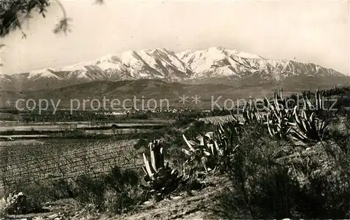 Perpignan Panorama de la plaine et le Canigou Chaine des Pyrenees Perpignan