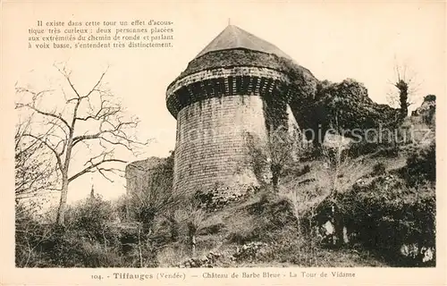Tiffauges Chateau de Barb Bleue Tour de Vidame Tiffauges