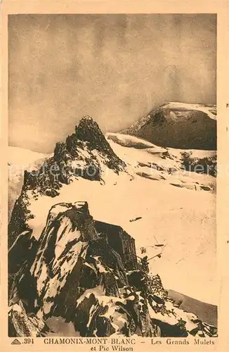 Chamonix Mont Blanc et Pic Wilson Chamonix
