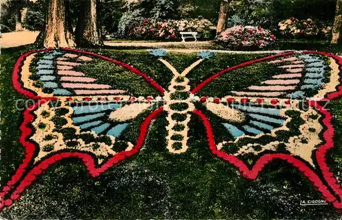 Rouen Papillon du jardin des plantes Rouen