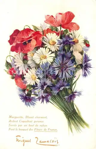 Blumen Gedicht Mohnblume Margeriten Kornblumen 