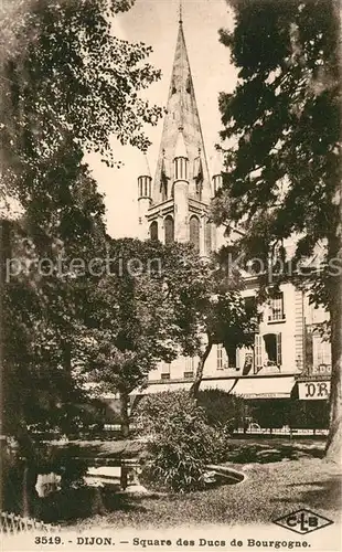 Dijon_Cote_d_Or Square des Ducs de Bourgogne Dijon_Cote_d_Or