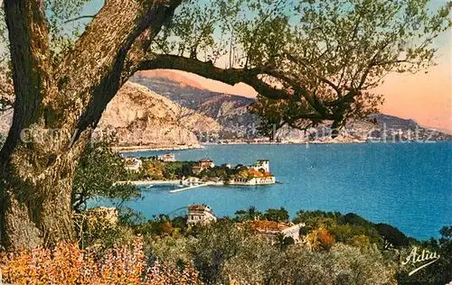 Beaulieu sur Mer La Pointe Fourmie Beaulieu sur Mer