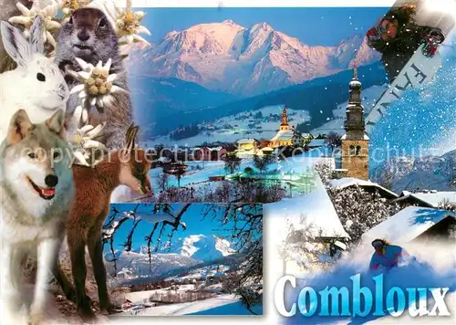 Combloux Couche de soleil sur le Mont Blanc en hiver des animaux Combloux