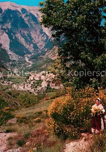 Mont_Ventoux au pied Brantes et ses Genets Mont Ventoux