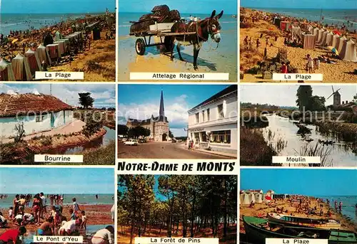 Notre Dame de Monts Plage Bourrine Pont d Yeu Attelage Eglise Foret de pins Moulin Notre Dame de Monts