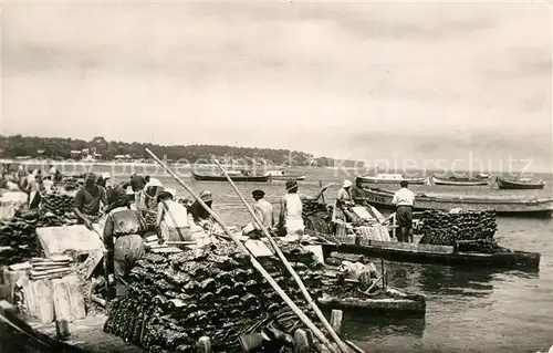 Fischerei Bordeaux Hafen 