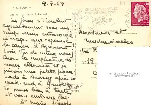 Bernhardiner Chien St Bernard  