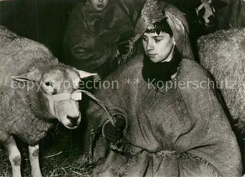 Schafe Imelda Tehuis Arnheim Kerstfeest  