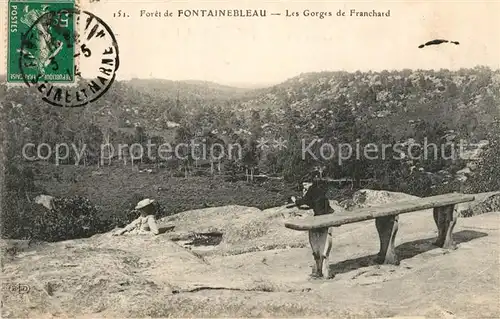 Fontainebleau_Seine_et_Marne Panorama Foret de Fontainebleau Les Gorges de Franchard Fontainebleau_Seine