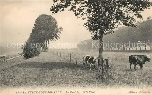 La_Ferte sous Jouarre La Prairie des vaches Paturage La_Ferte sous Jouarre