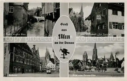 Ulm_Donau Alte Wirtschaft Zur Forelle Rathaus Ulm_Donau