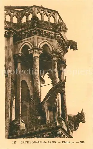 Laon_Aisne Cathedrale Chimeres Laon_Aisne