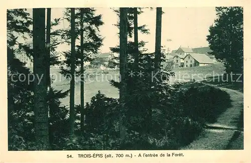 Trois_Epis_Haut_Rhin_Elsass Entree de la Foret Trois_Epis