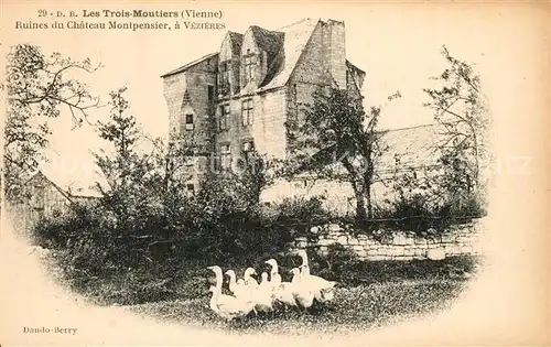 Les_Trois Moutiers Ruines du Chateau Montpensier a Vezieres Les_Trois Moutiers