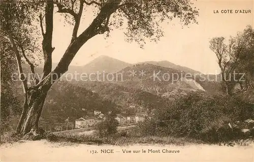 Nice_Alpes_Maritimes Vue sur le Mont Chauve Nice_Alpes_Maritimes