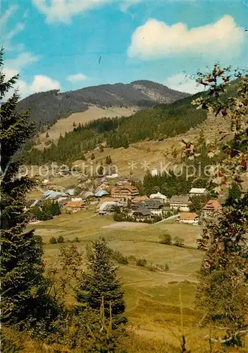 Menzenschwand Panorama Hoehenluftkurort im Schwarzwald Menzenschwand