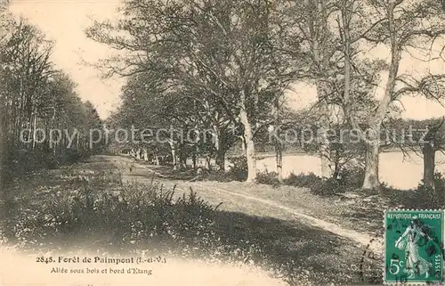 Paimpont Foret de Paimpont Allee sous bois et bord d Etang Paimpont