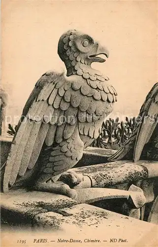 Paris Eglise Notre Dame une chimere Paris