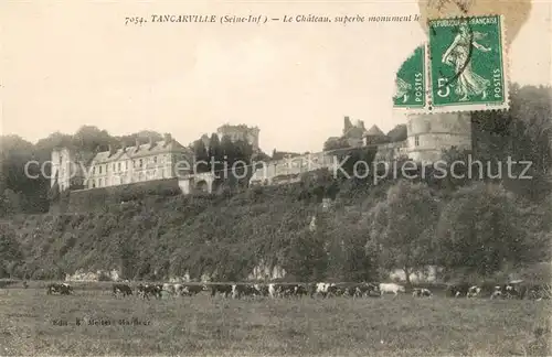 Tancarville Chateau Paturage Tancarville