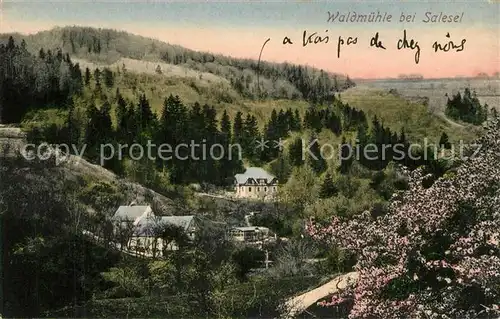 Salesel_Tschechien Waldmuehle Salesel_Tschechien