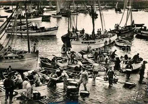Douarnenez Le port de peche en pleine activite au retour des bateaux Douarnenez