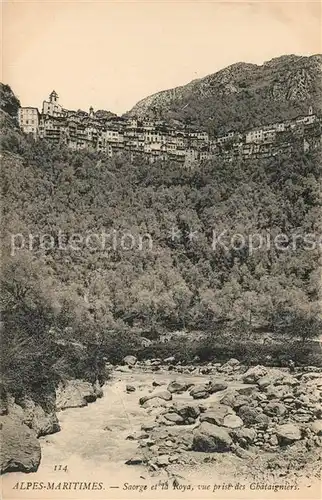 AK / Ansichtskarte Saorge Panorama Vallee de la Roya vue prise des Chataigniers Saorge