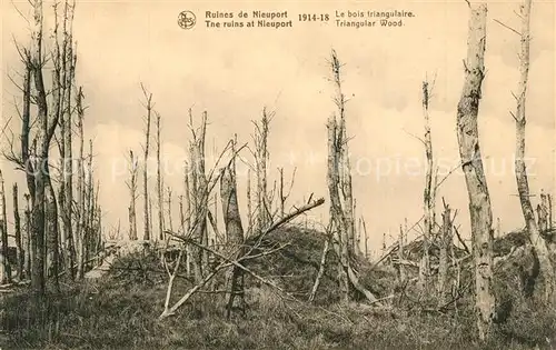 AK / Ansichtskarte Nieuport Bains Ruines Bois Triangulaire  Nieuport Bains