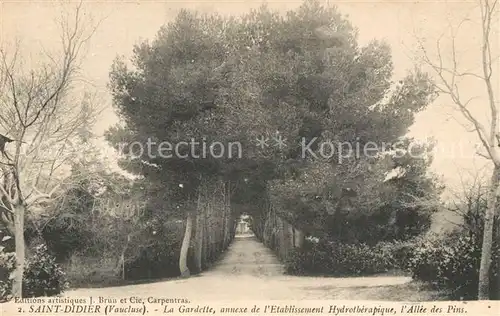 AK / Ansichtskarte Saint Didier_Vaucluse La Gardette Allee des Pins Etablissement Hydrotherapique Saint Didier Vaucluse