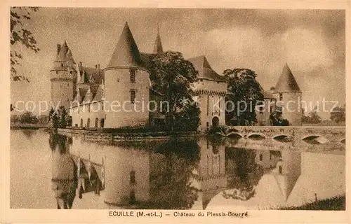 AK / Ansichtskarte Ecuille Chateau du Plessis Bourre Ecuille