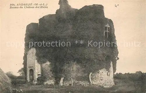 AK / Ansichtskarte Andreze Ruines du Chateau des Haies Andreze