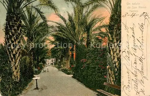 AK / Ansichtskarte San_Remo Palmiers  San_Remo