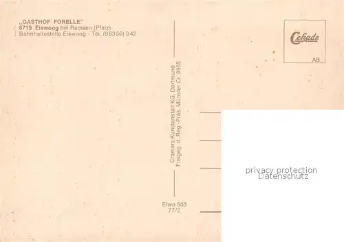 AK / Ansichtskarte Eiswoog Fliegeraufnahme mit Viadukt Bahnhaltestelle und Gasthof Forelle Eiswoog