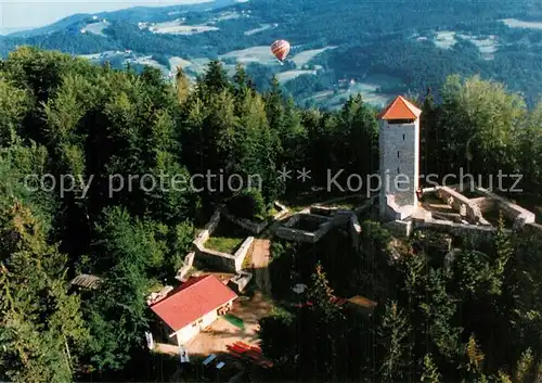 AK / Ansichtskarte Geiersthal_Regen Burgruine Altnussberg Fliegeraufnahme Geiersthal_Regen
