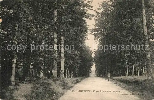 AK / Ansichtskarte Motteville Allee des sapins Motteville