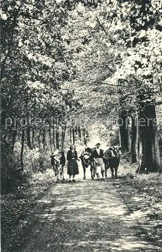 AK / Ansichtskarte Nointot Orphelinat Le Hegarat Nointot