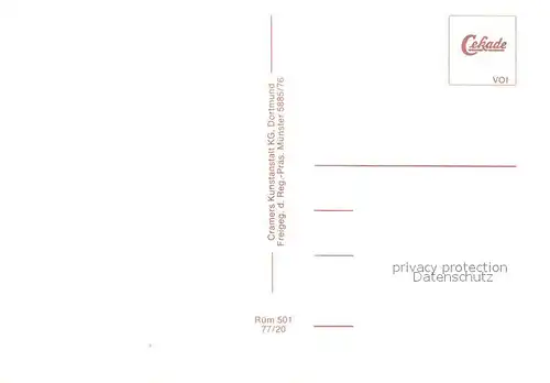 AK / Ansichtskarte Ruedesheim_Rhein Fliegeraufnahme Ruedesheim Rhein