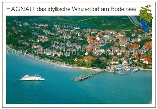 AK / Ansichtskarte Hagnau_Bodensee Fliegeraufnahme Hagnau Bodensee