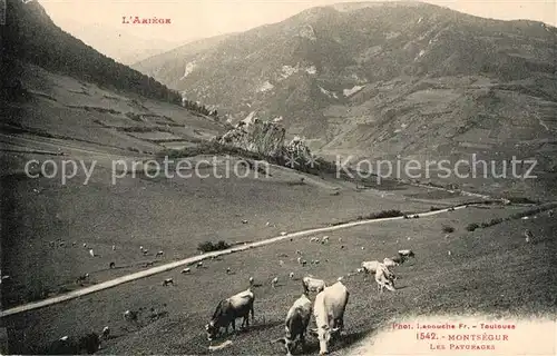 AK / Ansichtskarte Montsegur Panorama Paysage les paturages Montsegur