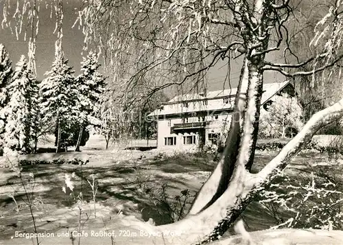 AK / Ansichtskarte Geigant Bergpension Cafe Rosshof  Geigant