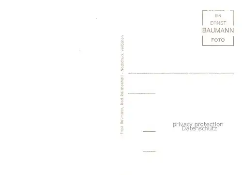 AK / Ansichtskarte Bad_Reichenhall Pension Immergr?n Bad_Reichenhall