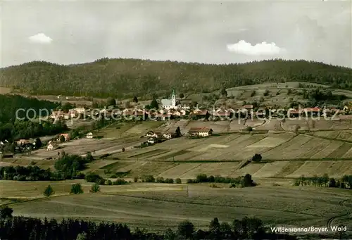 AK / Ansichtskarte Wildenranna  Wildenranna