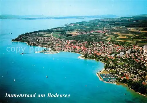 AK / Ansichtskarte Immenstaad_Bodensee Fliegeraufnahme Seeufer Immenstaad_Bodensee