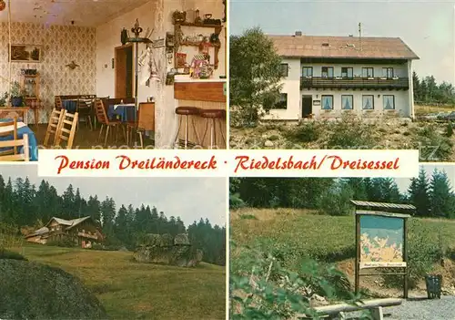AK / Ansichtskarte Riedelsbach_Niederbayern Pension Dreilaendereck Riedelsbach Niederbayern